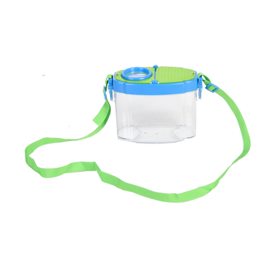 Caja de Estudio de Insectos L